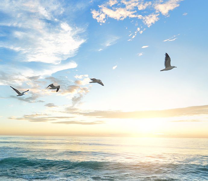 家系図セッション